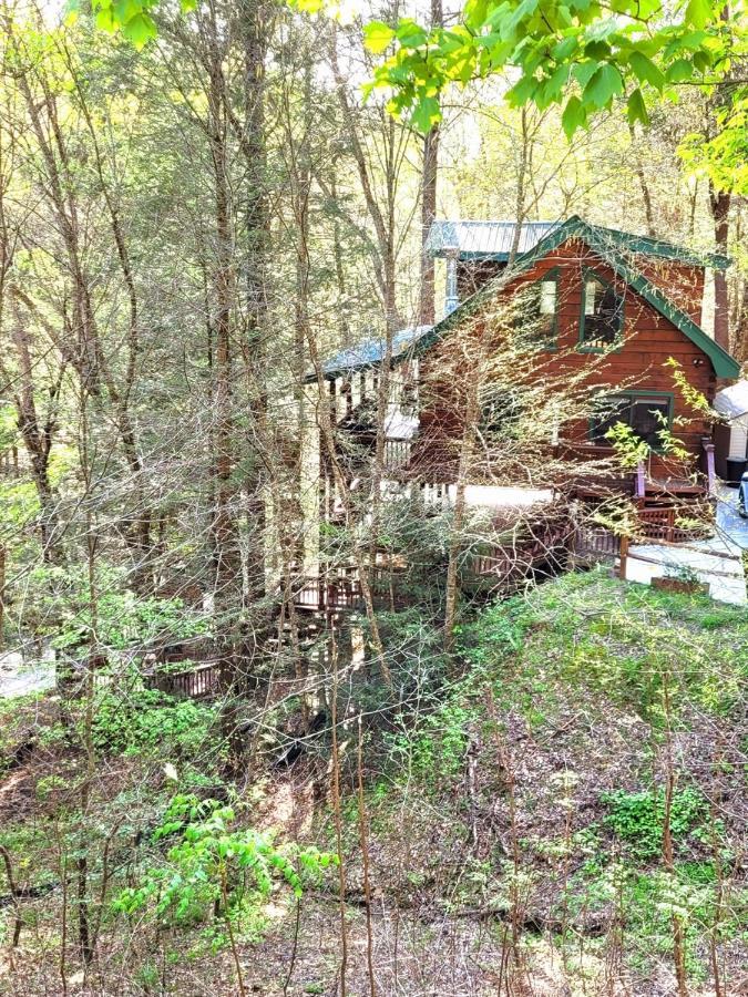 Luxury Cabin With Waterview And Privacy, Hiking Blue Ridge Exterior photo